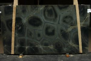 Turtle - Super Exotic